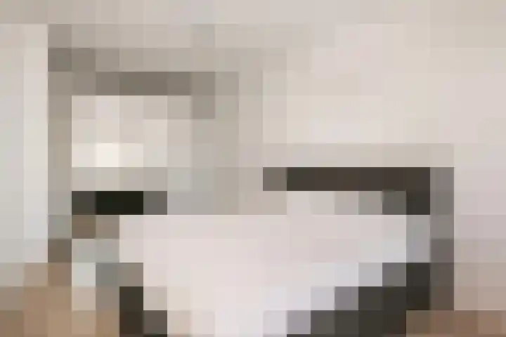 Vitruvius 6 Wijk bij Duurstede thumbnail 17