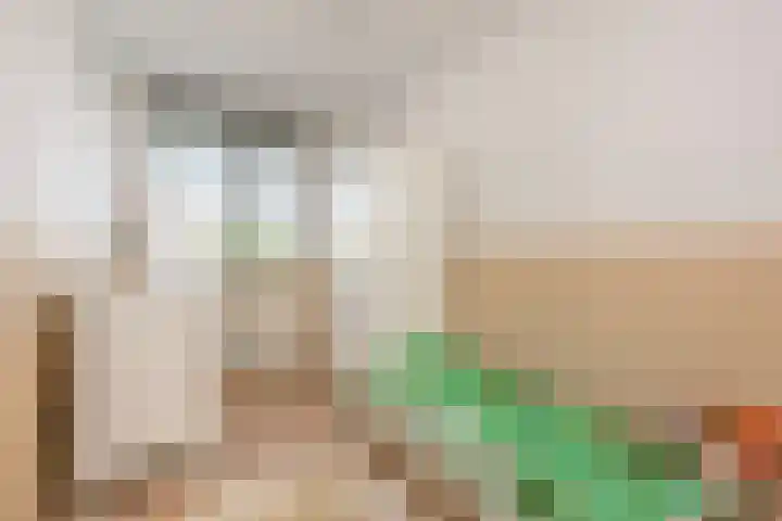 Vitruvius 6 Wijk bij Duurstede thumbnail 18
