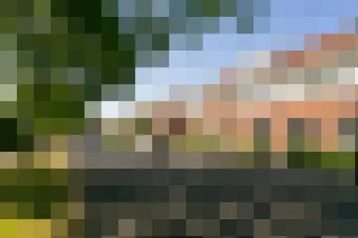 Vitruvius 6 Wijk bij Duurstede foto 2