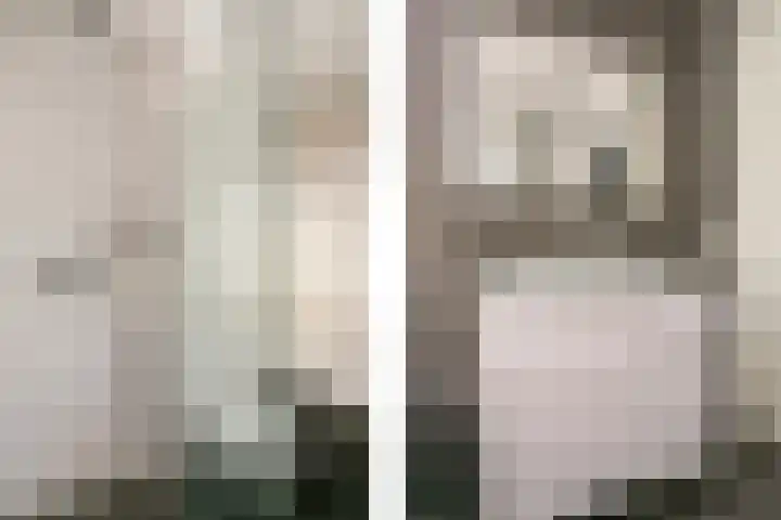 Vitruvius 6 Wijk bij Duurstede thumbnail 22