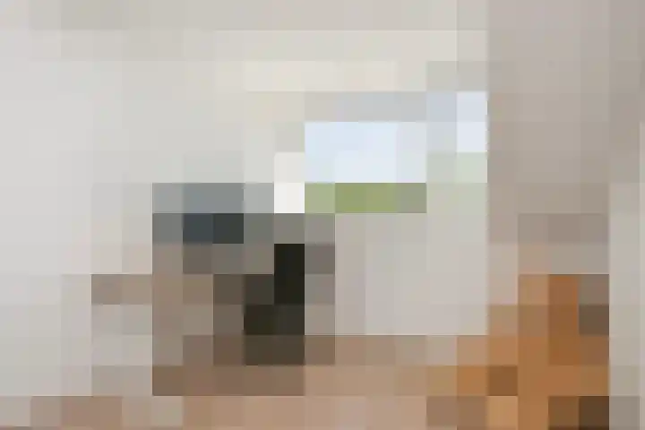Vitruvius 6 Wijk bij Duurstede thumbnail 28