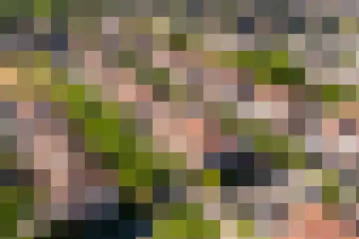 Vitruvius 6 Wijk bij Duurstede thumbnail 33