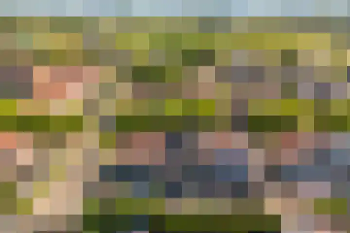 Vitruvius 6 Wijk bij Duurstede thumbnail 34