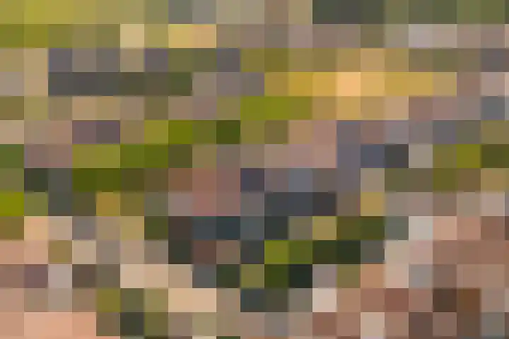 Vitruvius 6 Wijk bij Duurstede thumbnail 35