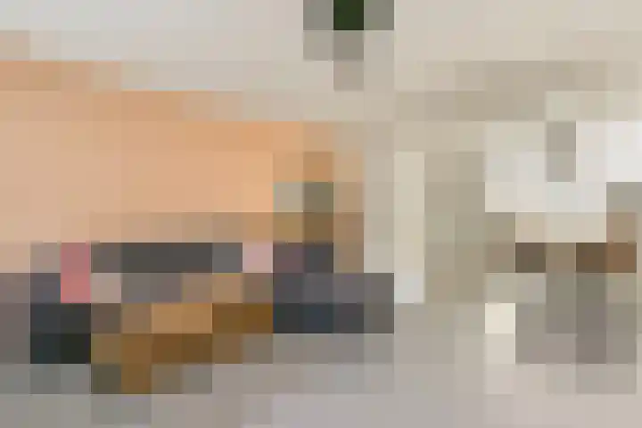 Vitruvius 6 Wijk bij Duurstede thumbnail 5