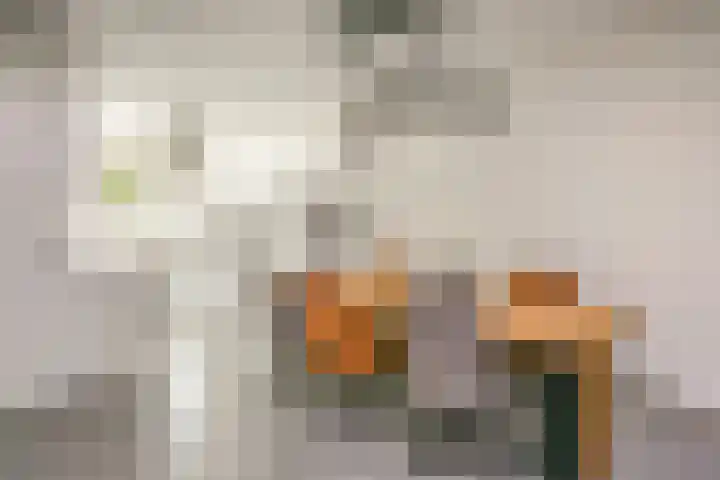 Vitruvius 6 Wijk bij Duurstede thumbnail 7
