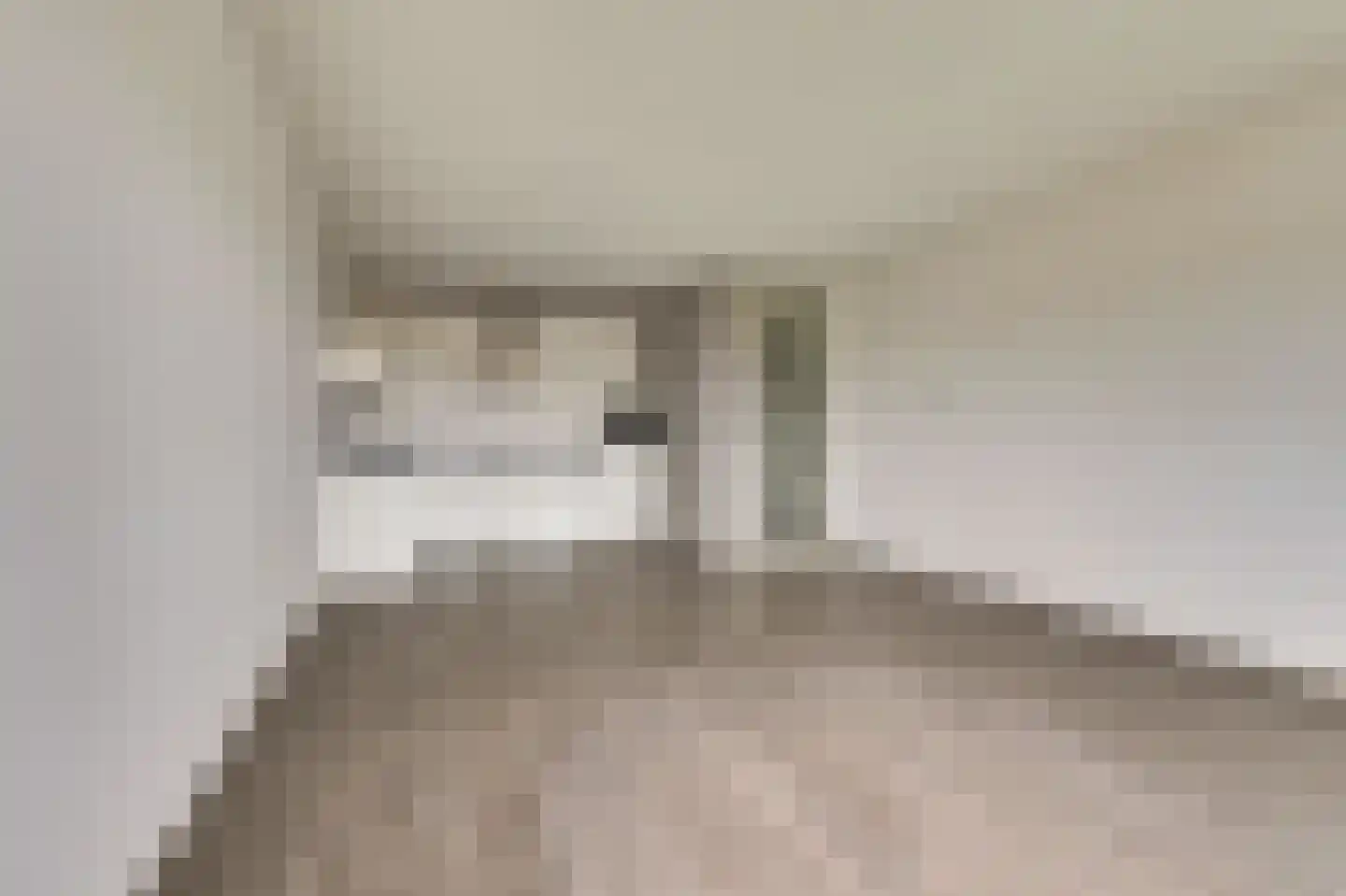 Vitruvius 62 Wijk bij Duurstede thumbnail 12