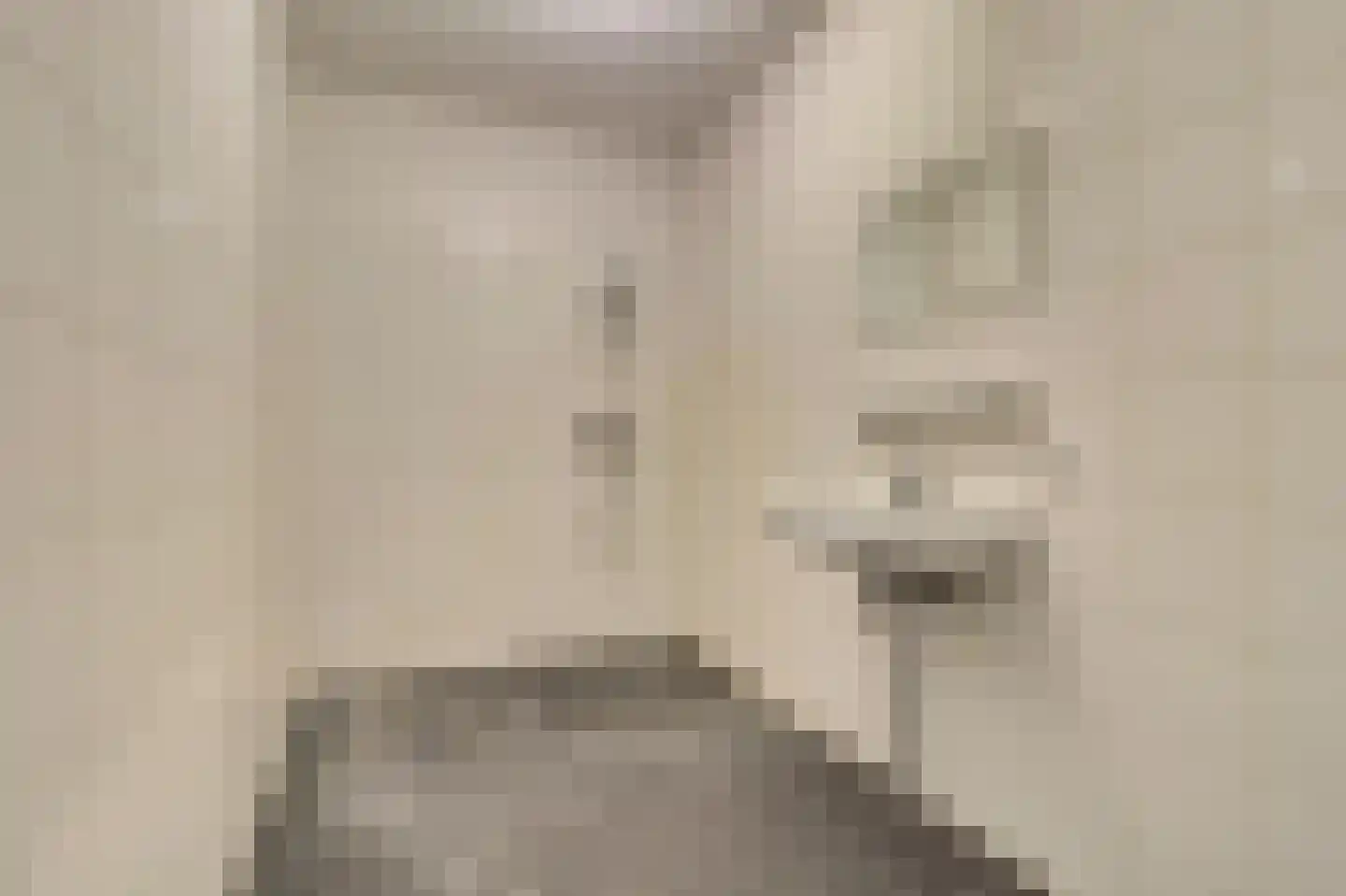 Vitruvius 62 Wijk bij Duurstede thumbnail 19