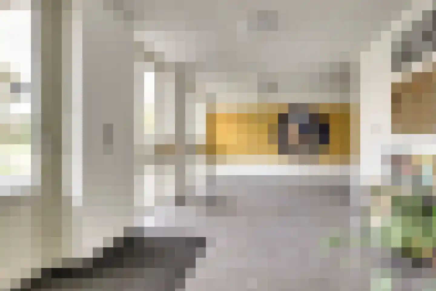 Vitruvius 62 Wijk bij Duurstede thumbnail 4