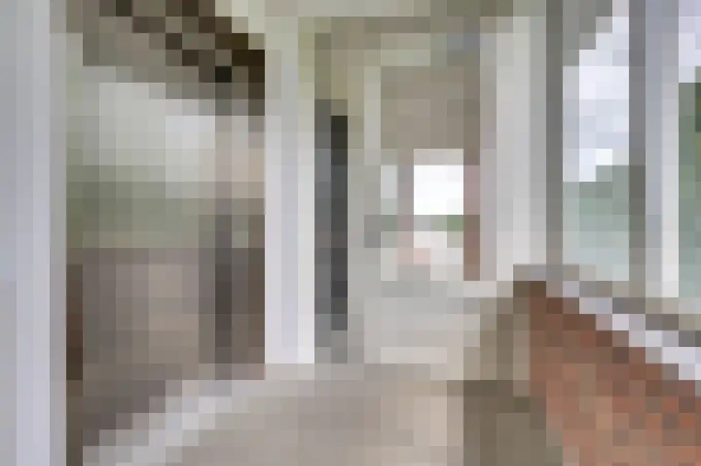 Vitruvius 62 Wijk bij Duurstede thumbnail 5