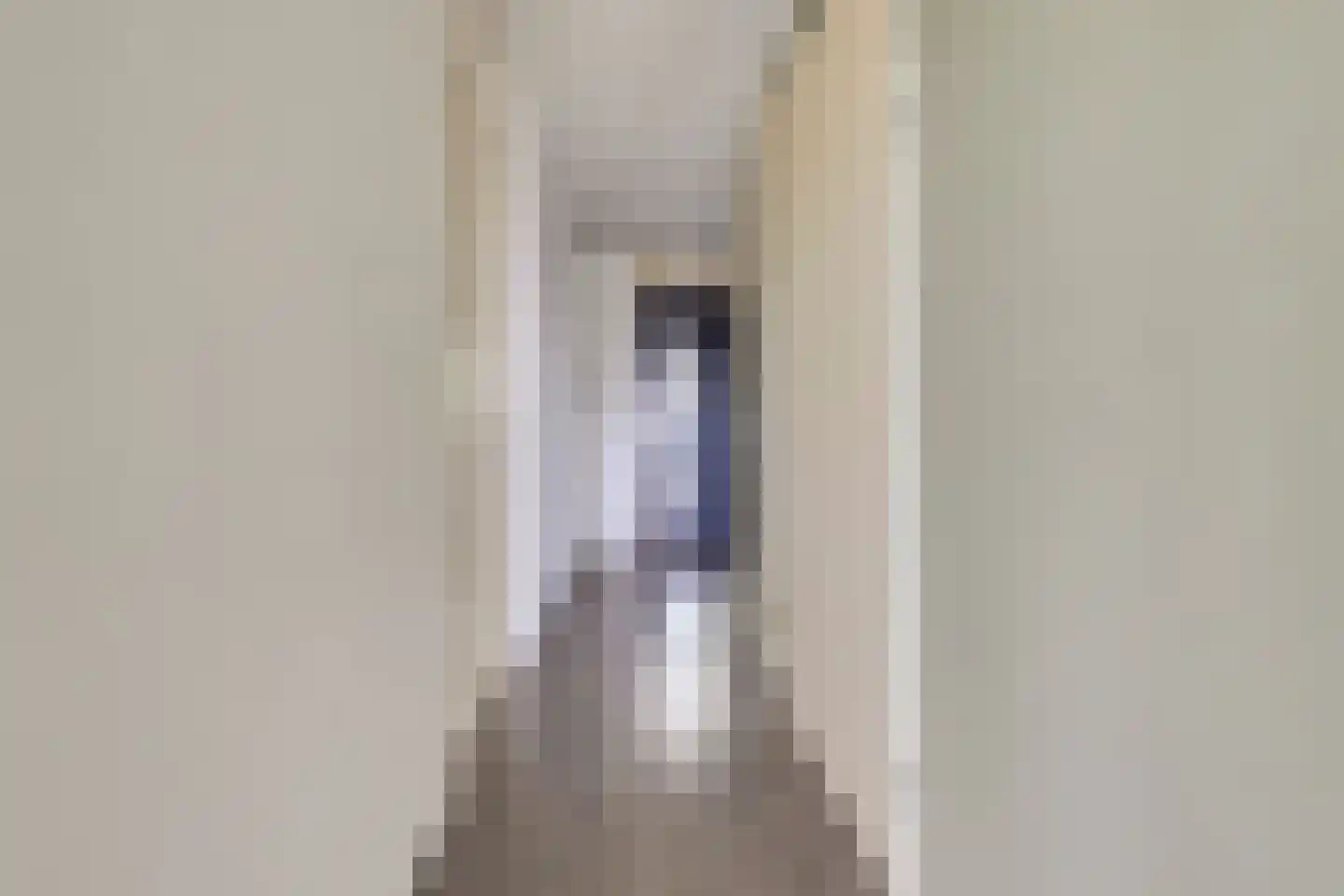 Vitruvius 62 Wijk bij Duurstede thumbnail 7