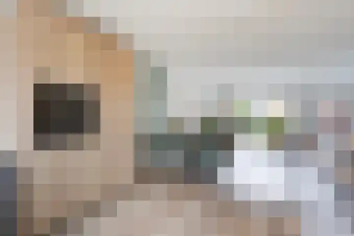 Vitruviusruimte 10 Zoetermeer thumbnail 16