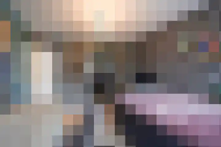 Vitruviusruimte 10 Zoetermeer thumbnail 27