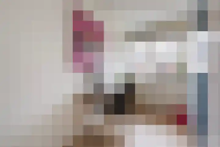 Vitruviusruimte 10 Zoetermeer thumbnail 28