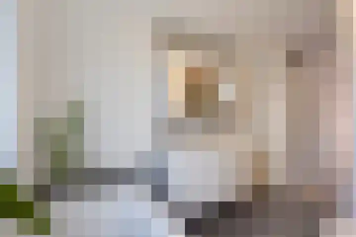 Vitruviusruimte 10 Zoetermeer thumbnail 30