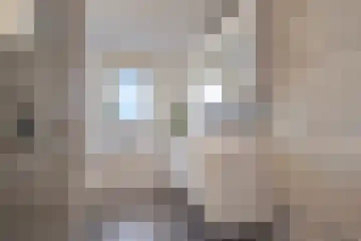 Vitruviusruimte 10 Zoetermeer thumbnail 31
