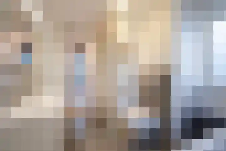 Vitruviusruimte 10 Zoetermeer thumbnail 32