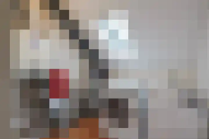 Vitruviusruimte 10 Zoetermeer thumbnail 43