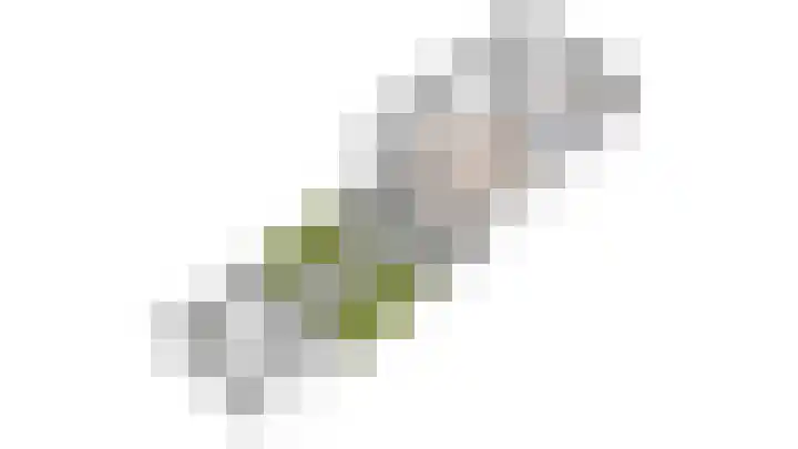Vitruviusruimte 10 Zoetermeer thumbnail 58
