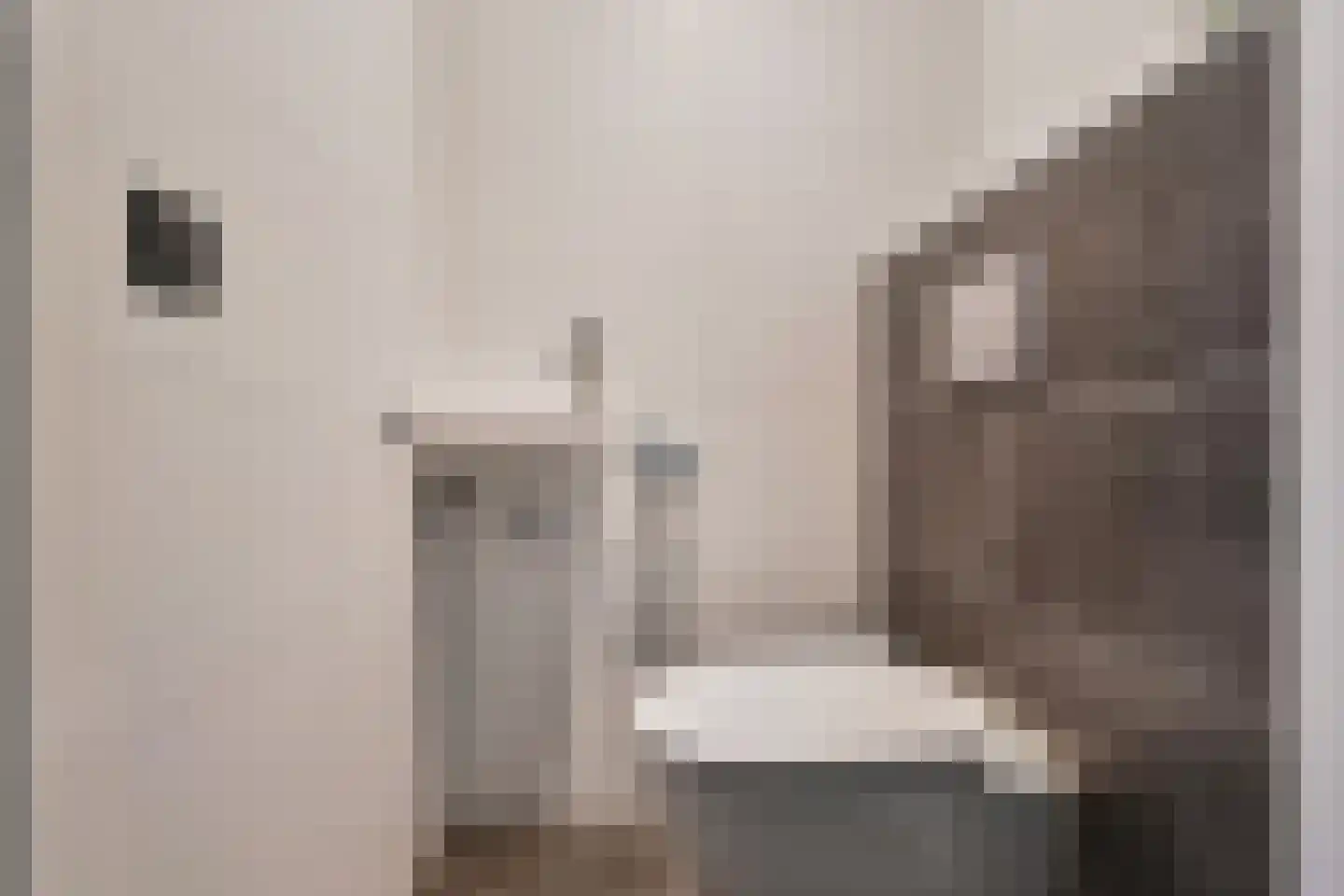Vitruviusruimte 36 Zoetermeer thumbnail 11