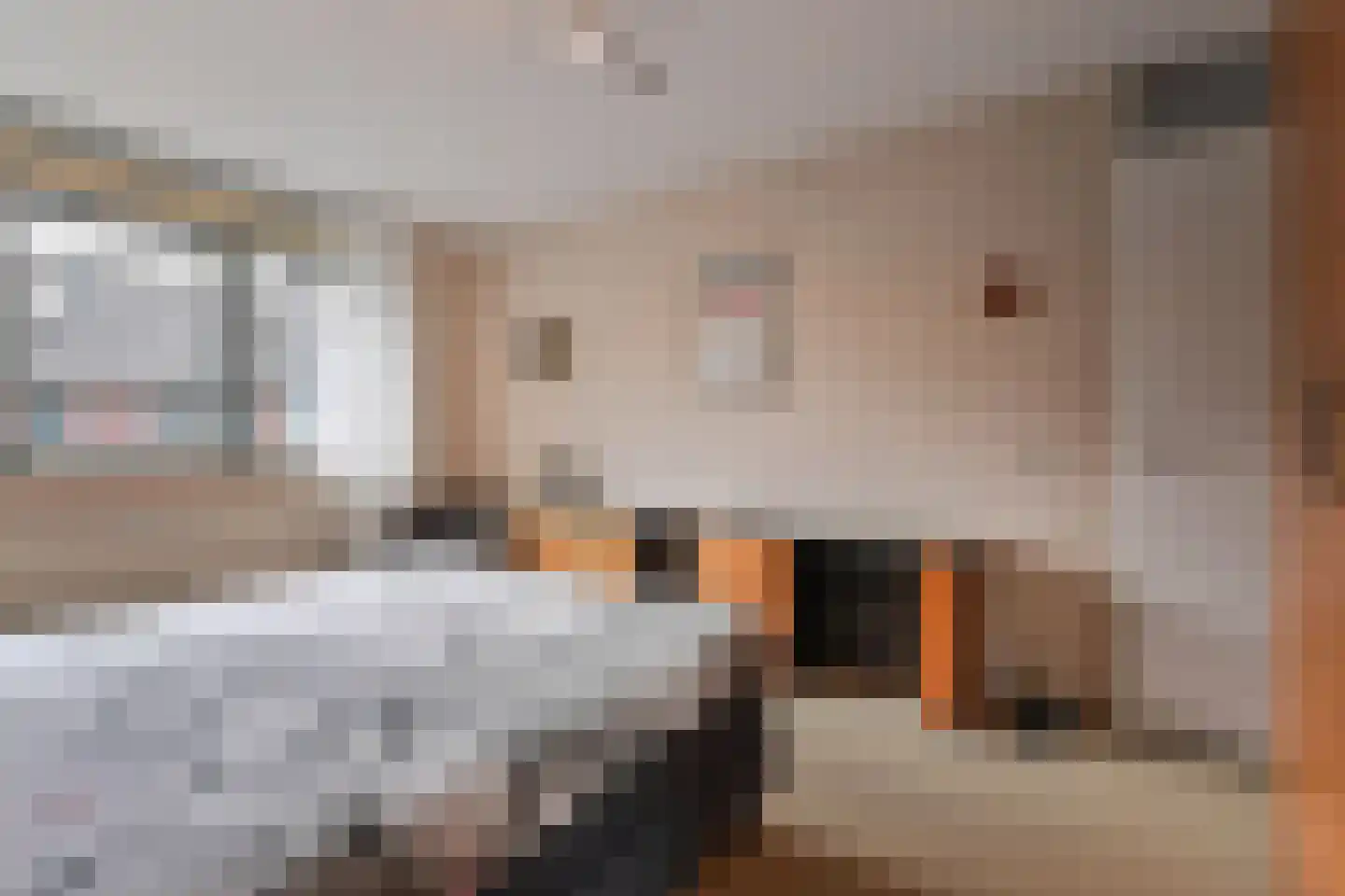 Vitruviusruimte 36 Zoetermeer thumbnail 30