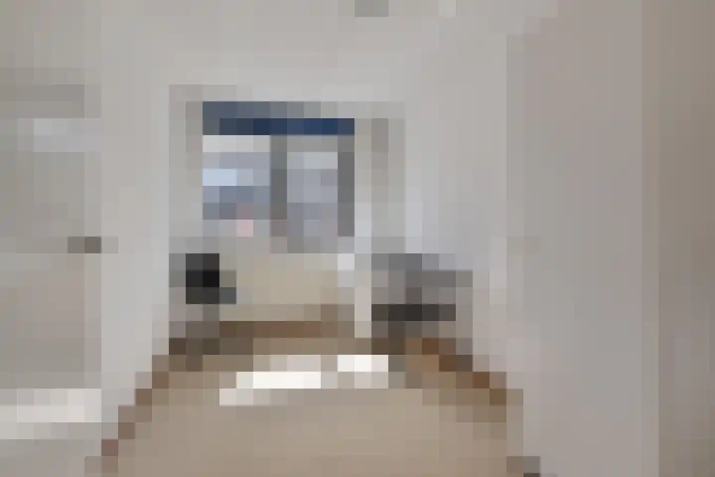 Vitruviusruimte 36 Zoetermeer thumbnail 31