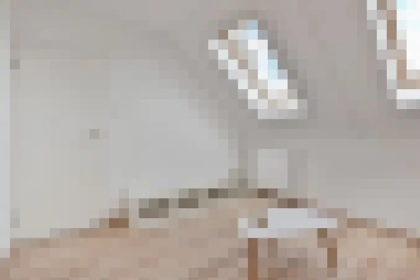 Vitruviusruimte 36 Zoetermeer thumbnail 38