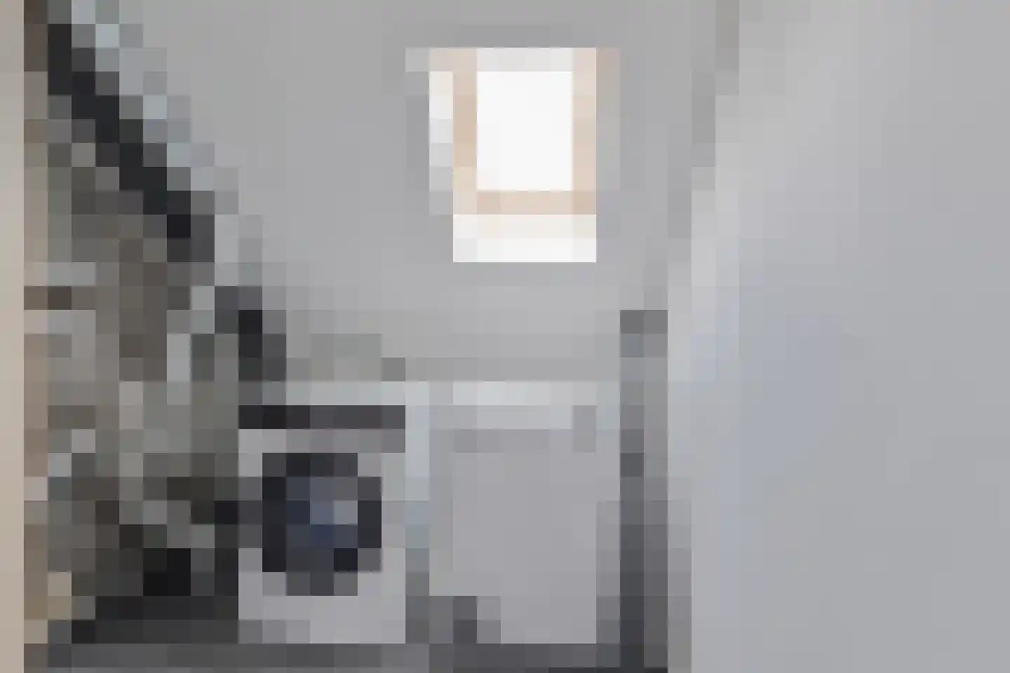 Vitruviusruimte 36 Zoetermeer thumbnail 39