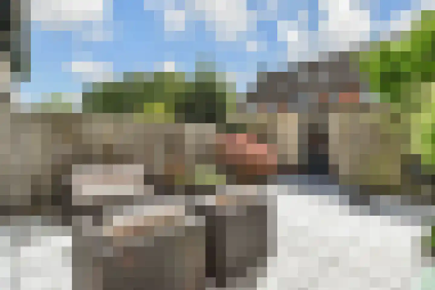 Vitruviusruimte 36 Zoetermeer thumbnail 5