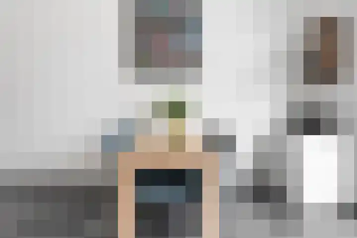 Vitruviusstraat 135 Leiden thumbnail 35