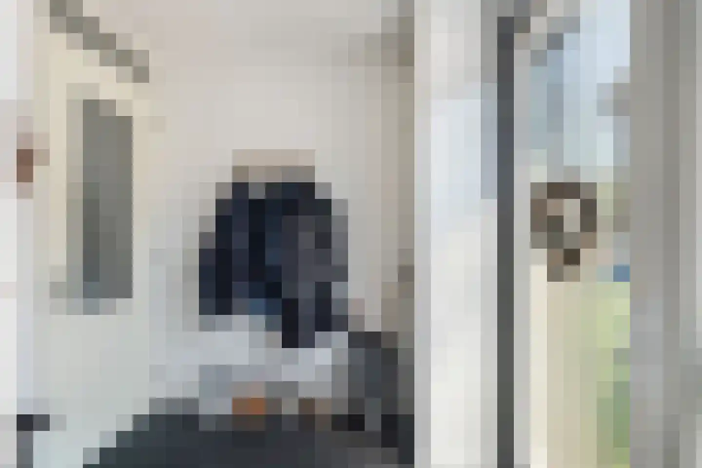 Vitruviusstraat 145 Leiden thumbnail 5