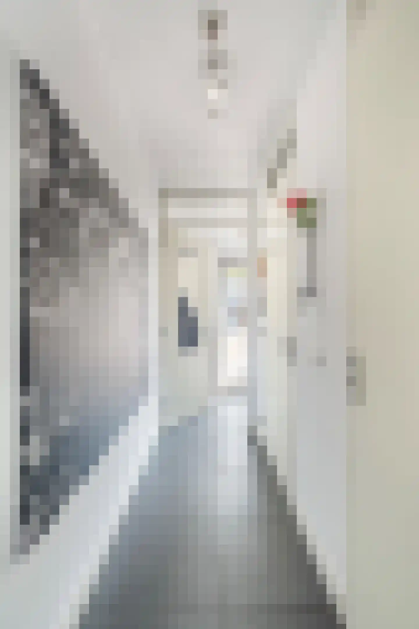 Vitruviusstraat 145 Leiden thumbnail 6