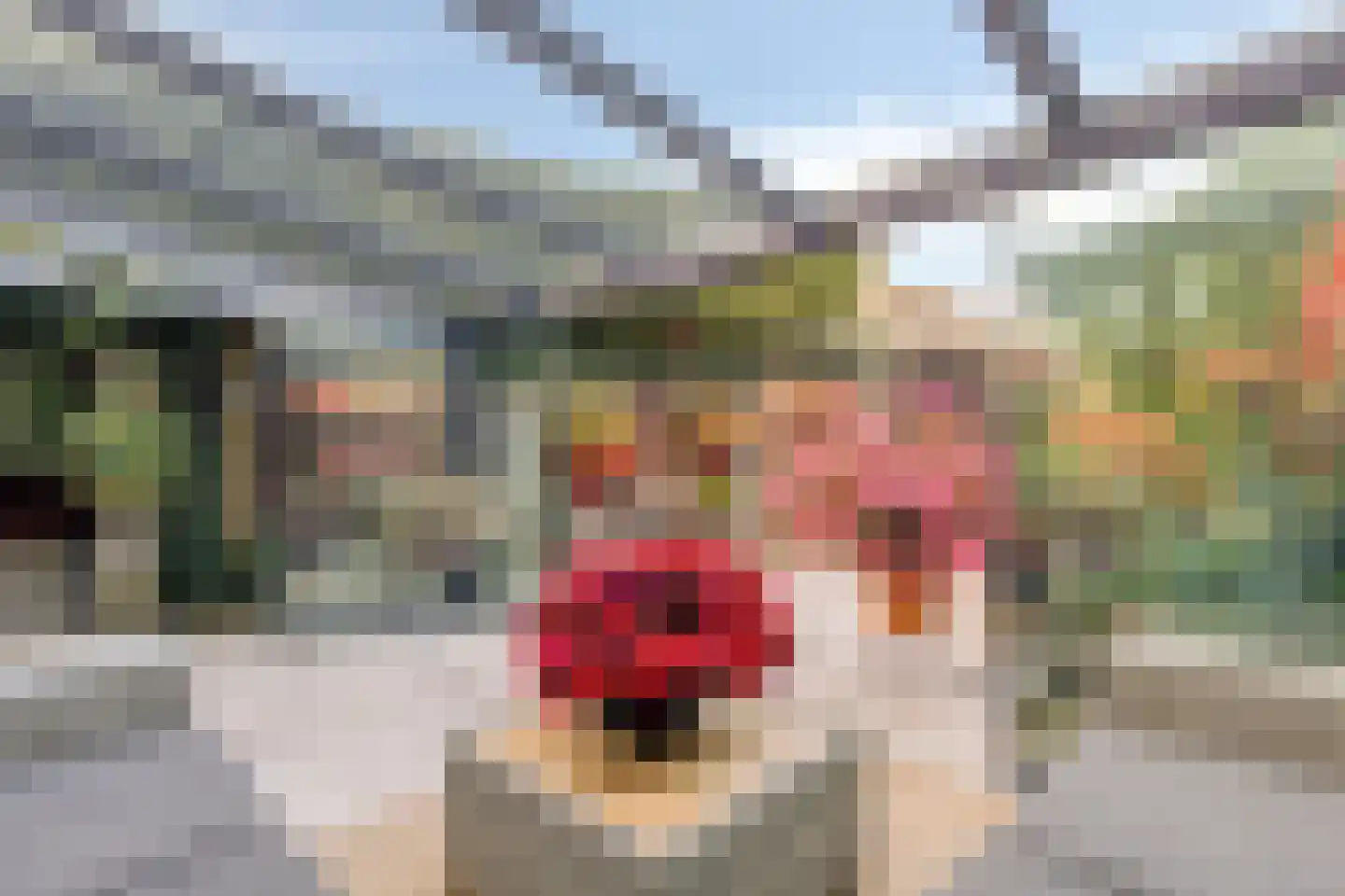 Vitruviusstraat 33 Amersfoort thumbnail 35