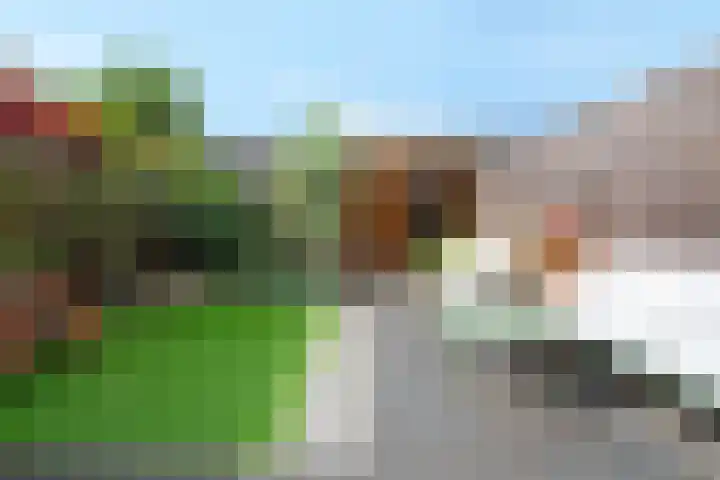 Vitruviusstraat 35 Amersfoort thumbnail 31