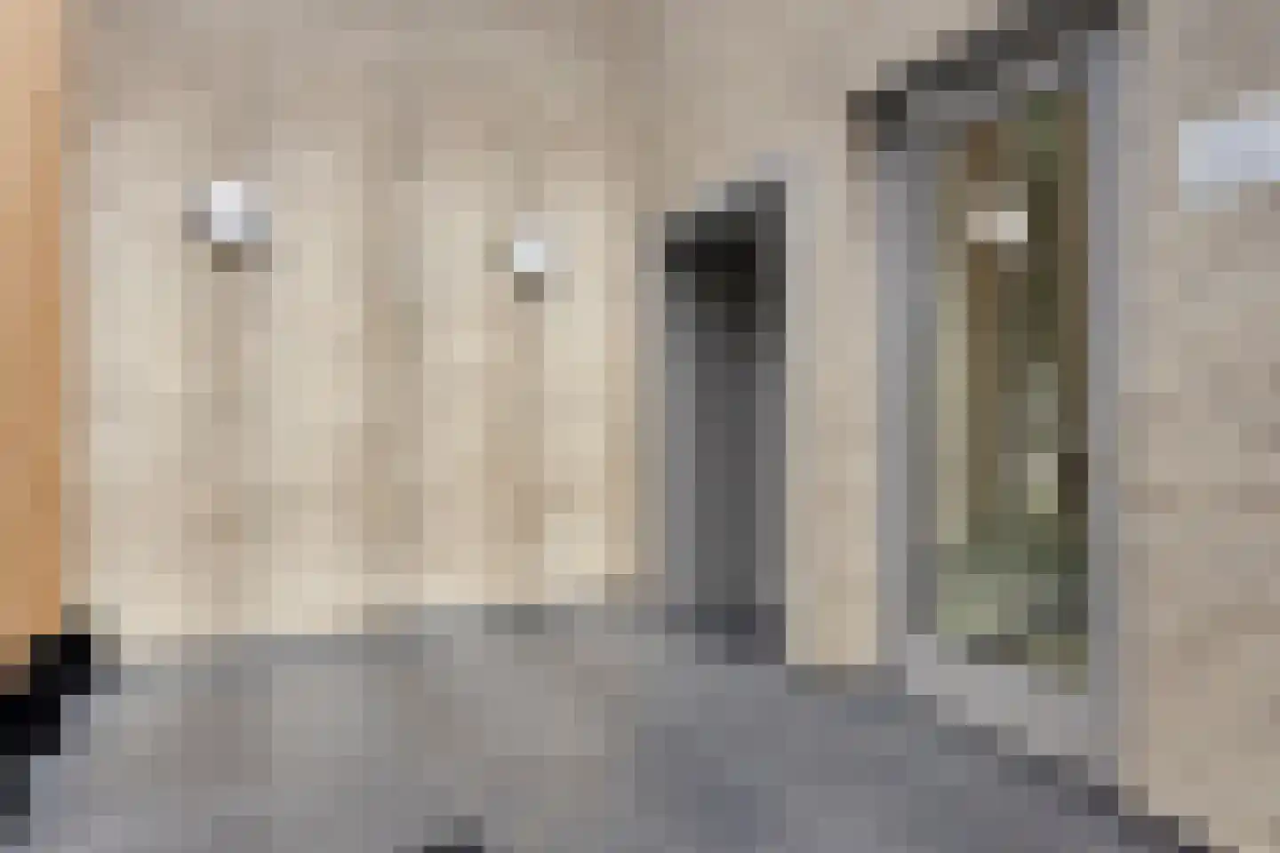 Vitruviusweg 121 Eindhoven thumbnail 13