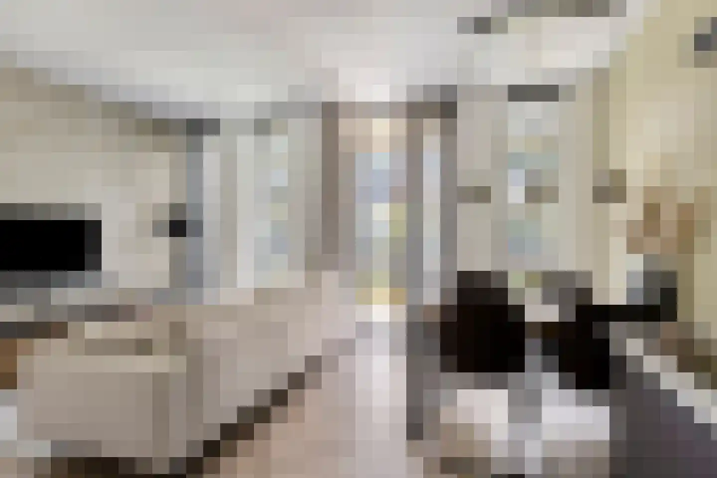 Vitruviusweg 121 Eindhoven thumbnail 22