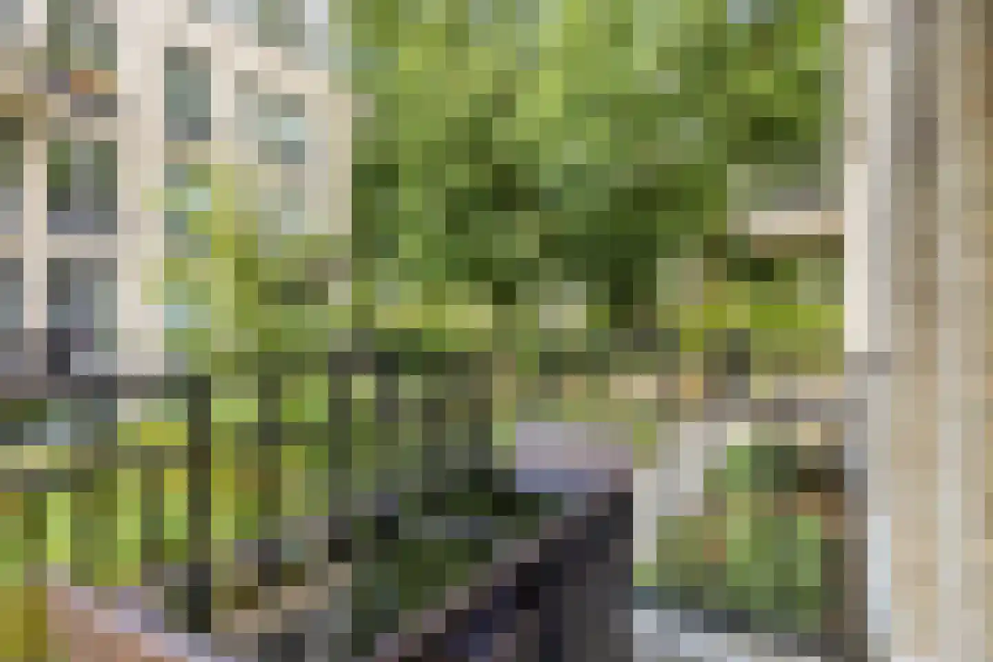 Vitruviusweg 121 Eindhoven thumbnail 32