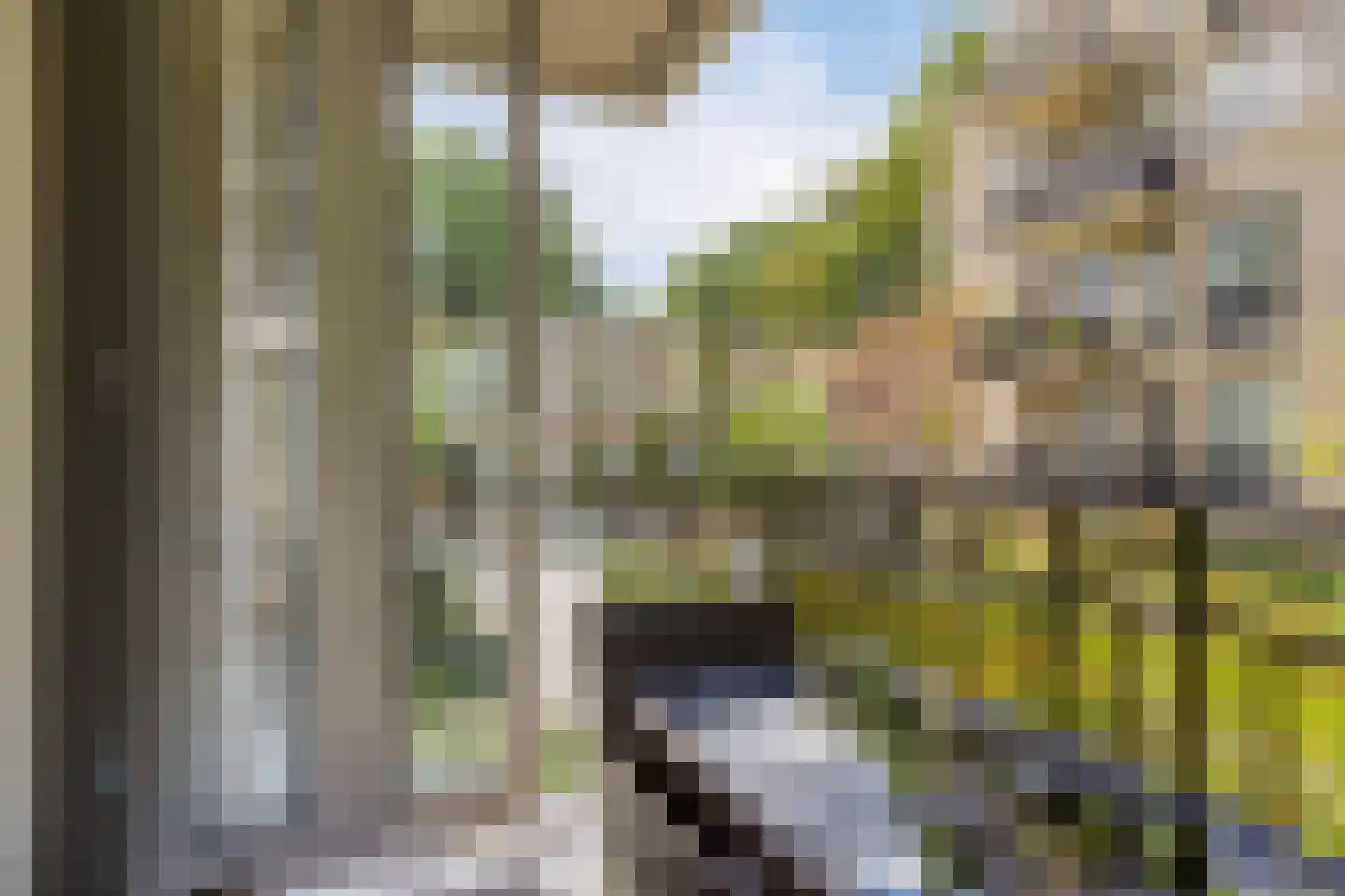 Vitruviusweg 121 Eindhoven thumbnail 33