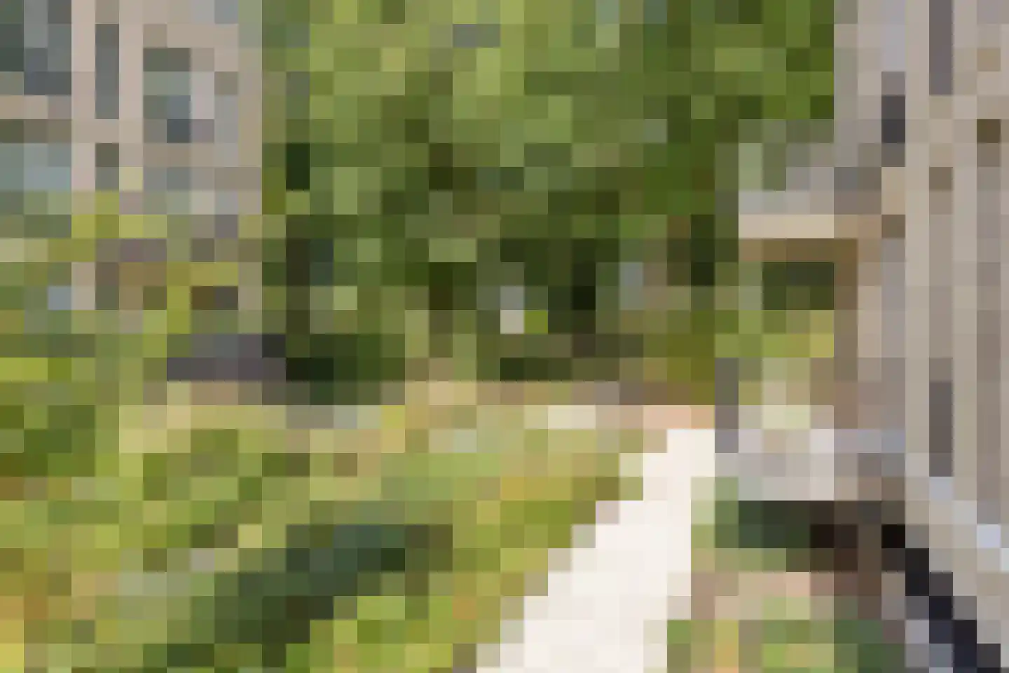 Vitruviusweg 121 Eindhoven thumbnail 36