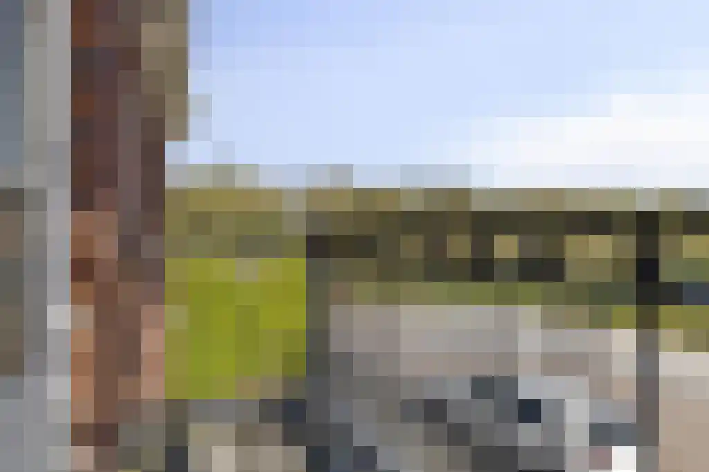 Vitus Beringstraat 2 A Almere thumbnail 36