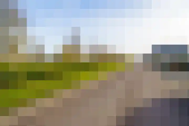 Vitus Beringstraat 26 Almere thumbnail 36