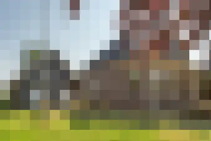 Vitusdyk 35 Blauwhuis thumbnail 37