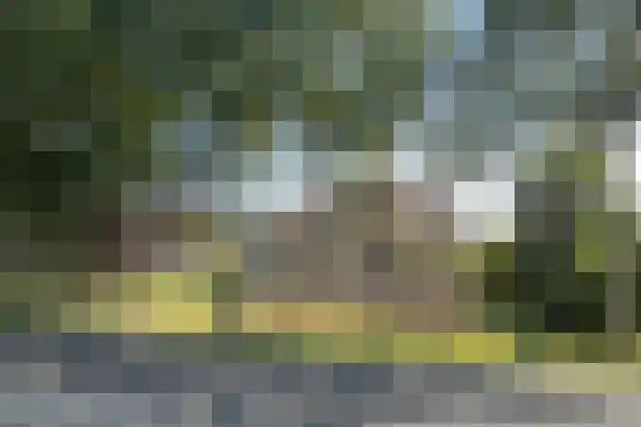 Vitusdyk 35 Blauwhuis thumbnail 4