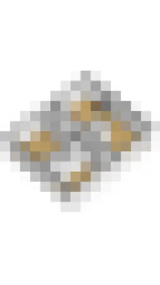 Vitusdyk 35 Blauwhuis thumbnail 49