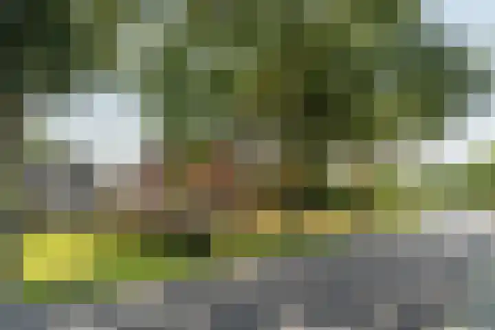 Vitusdyk 35 Blauwhuis thumbnail 5