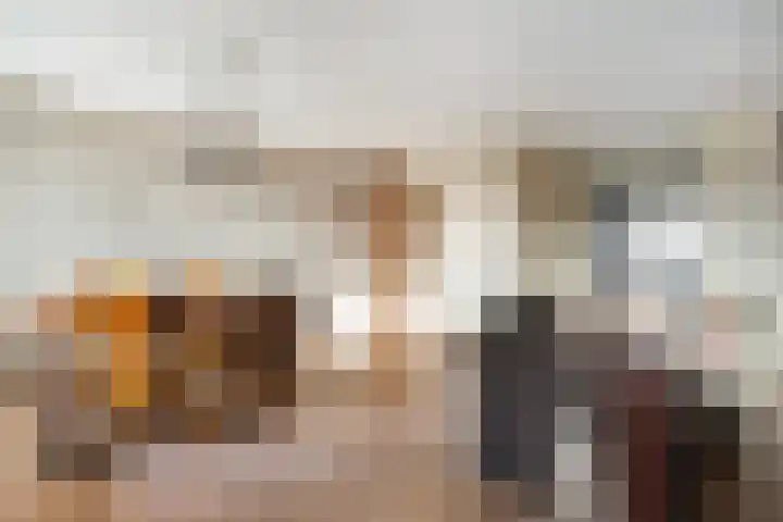 Vivaldi 13 Dedemsvaart thumbnail 10