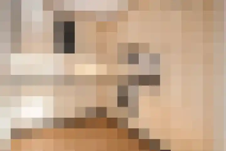 Vivaldi 13 Dedemsvaart thumbnail 13