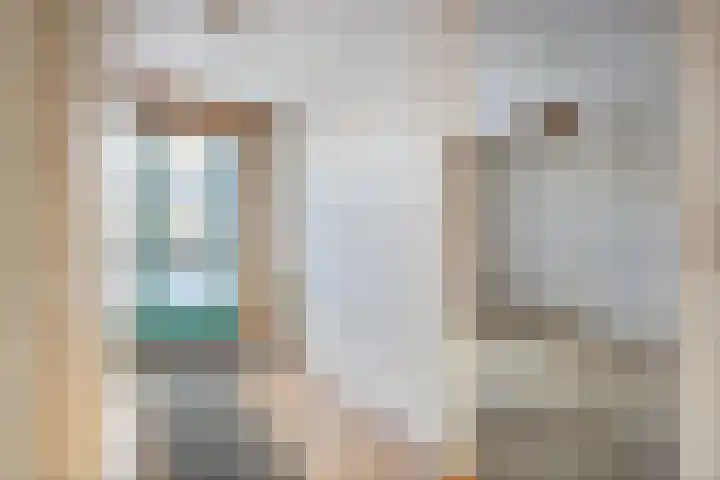 Vivaldi 13 Dedemsvaart thumbnail 18