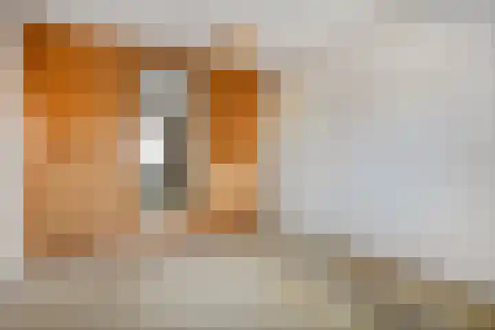 Vivaldi 13 Dedemsvaart thumbnail 20