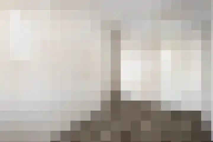 Vivaldi 13 Dedemsvaart thumbnail 22